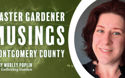 Master Gardener musings